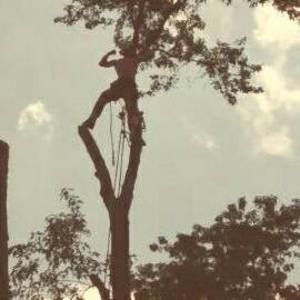 Meet your Posher, Dustin